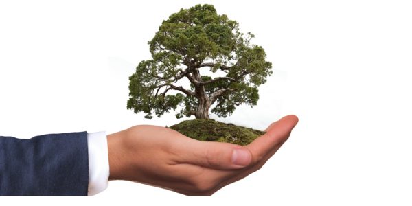 29 Octobre 2024 :  Compliance & Risk :n Implémentation de la CSRD - PARIS